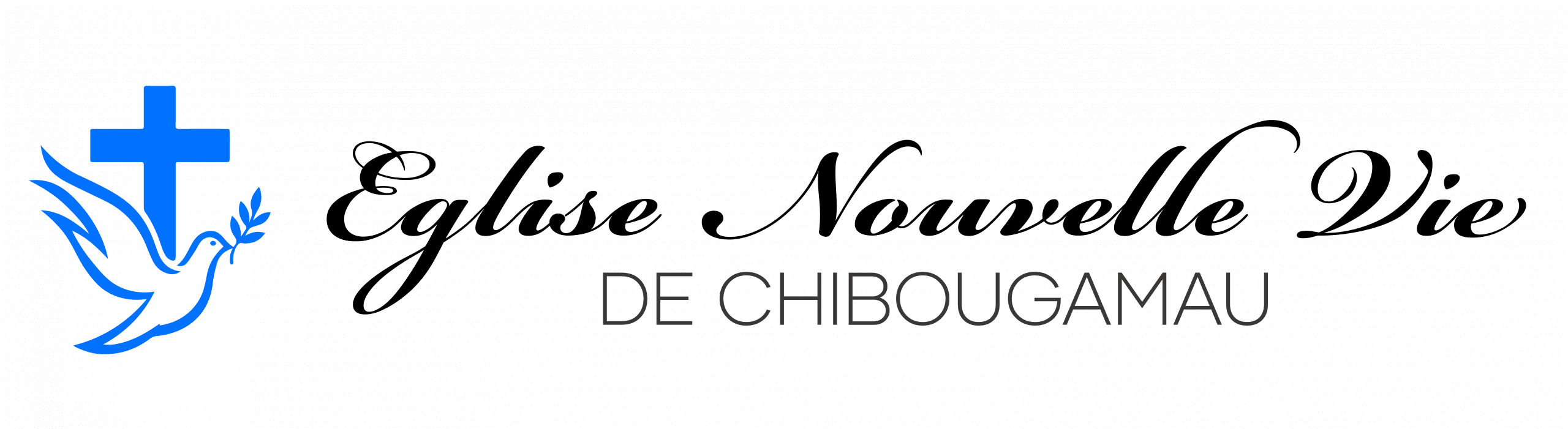 Église Nouvelle Vie_Logo_6.3-01